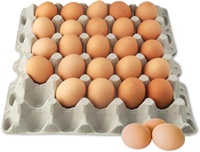 Plateau à œufs en carton de 30 alvéoles pour ferme, marché, cuisine familiale – Conteneur en papier cartonné pour le stockage et l'emballage à domicile