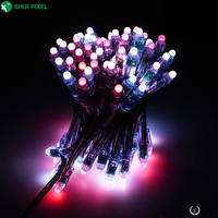 SHIJI Luz Puntual Exterior Impermeable Personalizada IP67 12V GS8208 RGB Pixel Lighting WS2811 Fuente de Luz LED Decorativa