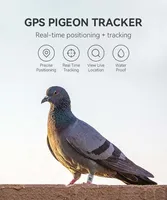 Traceur GPS pour oiseaux, suivi en temps réel, compatible Android, bague de patte pour vol en extérieur