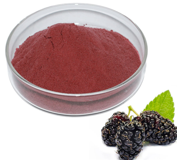 Порошок тутового фрукта, порошок тутового сока, порошок тутового дерева