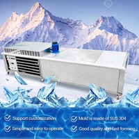 Pas cher Afrique du Sud Turc Commercial En Acier Inoxydable Saumure De Poisson Industrielle Faire Machine De Moule De Bloc De Glace à Vendre