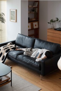 Venta Directa de Fábrica, Juego de Sala de Estar de Diseño Nórdico Europeo, Sofá de Cuero de Lujo Multiusos de Dos Plazas - Product Image 4