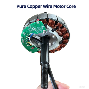<span class=keywords><strong>Roue</strong></span> de <span class=keywords><strong>Moteur</strong></span> de Vélo Électrique 20 Pouces 48V 500W/750W/1000W - <span class=keywords><strong>Moteur</strong></span> de Moyeu à Engrenages Sans Balais pour Conversion de Vélo Tout-Terrain Plage Neige - Product Image 5