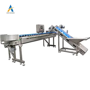 Orange fruit sorting line Vegetables sorting machine carrot sorting weight grading machine