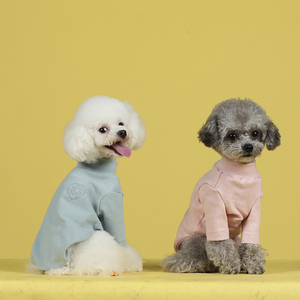 Camisetas de Algodón 100% de Diseño de Lujo al por Mayor, con Estampado de Dibujos Animados, para Perros Pequeños, Ropa para Perros, Accesorios para Mascotas - Product Image 4