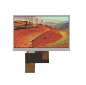 5.0 Inch TFT LCD Color LCD Display Screen 800x480 Dot Matrix Color Screen Module Optional Touch Screen