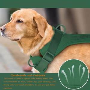 Mehrfarbiges Haustierzubehör Hundeband Leinanhäufel für Hunde Outdoor einstellbares einfarbiges Hundeband- und Leinenset - Product Image 6