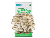 Boîte de culture de champignons vide avec impression de logo personnalisée, kit de culture de champignons, boîtes d'emballage en carton ondulé pour la culture de champignons