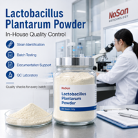 Polvo de Lactobacillus Plantarum con Identificación de Cepa, Control de Calidad Interno, Pruebas de Lote y Soporte de Documentación