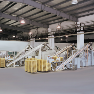 Máquina de jabón de lavandería que funciona con monedas para la fabricación de savons DE LUXE - Product Image 1