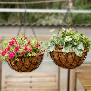 Nueva <span class=keywords><strong>Maceta</strong></span> Colgante de Hierro para Orquídeas y Palmeras de Coco, Cesta Colgante para Balcón y Columnas, <span class=keywords><strong>Maceta</strong></span> Colgante para Plantas Verdes, Paquete de Macetas Colgantes para Plantas Verdes - Product Image 3