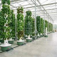 Système hydroponique vertical commercial de qualité supérieure, 30L, 7 niveaux, tour de culture aquaponique avec pompe automatique pour la production de légumes