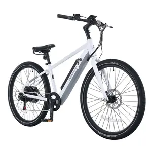 Gotrax 핫 세일 클래식 48v 리튬 배터리 충전식 남성 자전거 전자 자전거 미국 성인 균형 엔듀로 패스트 전기 자전거