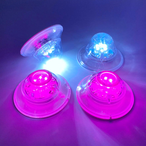 Thanh cổ vũ đạo cụ tùy chỉnh logo EVA nhấp nháy Sticker LED Coaster ánh sáng phát sáng trong bóng tối LED chai ánh sáng - Product Image 5