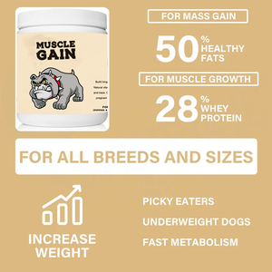 Suplementos para Mascotas con Logotipo Privado, Suplemento para Mascotas con Alto Contenido de Proteínas, Ganador de Masa Muscular para Perros, Suplemento para Desarrollo Muscular Canino - Product Image 6