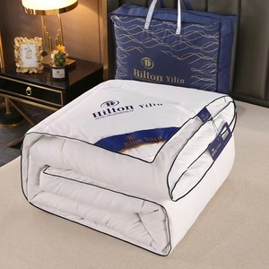 Bán Buôn Mùa Đông Sang Trọng Chăn Chăn Chăn Dày Fluffy 4Kg Sợi Nhỏ Ngỗng Xuống Thay Thế Khách Sạn Giường Trắng Duvet Comforter - Product Image 1