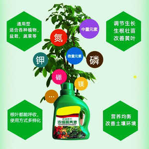 Solución concentrada de nutrientes vegetales, 500ml, universal para flores, suculentas, árboles de dinero, fertilizante de jardín Pothos - Product Image 2