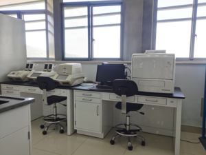 100 अरब सीएफयू लैक्टोबैसिलस संयंत्र प्रोबायोटिक उच्च शक्ति, प्रयोगशाला-सत्यापित, गैर-गमो | थोक छूट और थोक मूल्य निर्धारण - Product Image 6