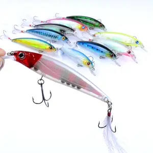 Jetshark 11cm 13.4g 10 colori esca artificiale per il mare Hard Body Minnow esche lento affondamento Minnow Fishing Lure