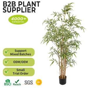 Vente en gros de plantes de <span class=keywords><strong>bambou</strong></span> porte-bonheur géantes réalistes avec pot, 160 cm, grande décoration d'intérieur, arbre de <span class=keywords><strong>bambou</strong></span> artificiel - Product Image 2