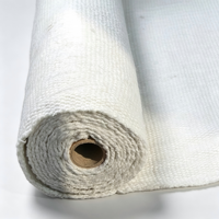 Tissu en fibre céramique haute résistance pour l'isolation des joints à haute température, avec une excellente capacité de rétention de chaleur et des propriétés ignifuges