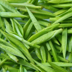 Nhà Sản Xuất Cung Cấp Màu Xanh Lá Cây Chiết Xuất Trà Số Lượng Lớn Màu Xanh Lá Cây Trà Lá Chiết Xuất Bột 50% Polyphenol Trong Trà - Product Image 5