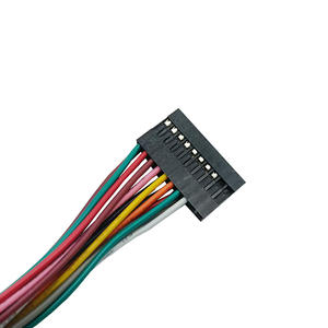 Soluciones de Arnés de Cableado Híbrido Personalizado para Automoción y Electrodomésticos y Arnés de Cableado con Conector Adaptativo - Product Image 3