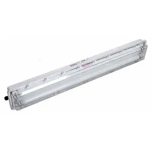 Wholesale Lighting Suppliers 23 Years IP66 All-Plastic Waterproof LED Tri Proof Light Linear Explosion-Proof Emergency Light
