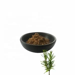 Estratto di rosmarino foglie di rosmarino essiccate erba di rosmarino essiccata 3% 5% 10% polvere di acido giallo 20283-92-5