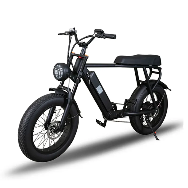 1000W 고전적인 포도 수확 전기 자전거 뚱뚱한 타이어 자전거 바닷가 Retro 자전거 함 전기 자전거 (오래된) 망 전기 자전거
