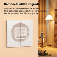Módulo Interruptor Inteligente WiFi RF Tuya de 1/2/3/4 Canales con Control Remoto y Temporizador, ¡Gran Venta!