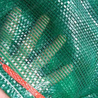Sacs en filet plastique Leno durables pour l'emballage de palmiers, d'ail, d'oignons, de pommes de terre et de choux, en HDPE et PP, 60x90cm et 52x85cm, Rouge, Jaune, Vert