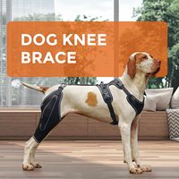 Équipement de protection pour animaux de compagnie, protège-jambes arrière pour chien, couverture de protection chirurgicale, support métallique auxiliaire, genouillère réglable pour chien