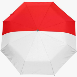 Parapluie Automatique de Haute Qualité à Ouverture et Fermeture Entièrement Automatiques, Imprimé Drapeau National Créatif, Protection Solaire, Idéal pour les Voyages <span class=keywords><strong>en</strong></span> Iran - Product Image 3