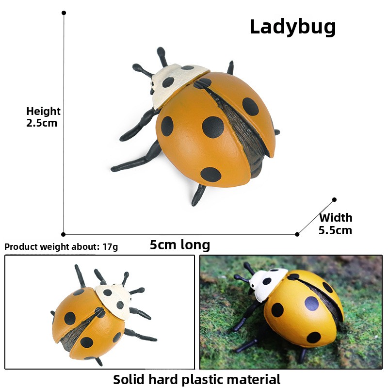 Yellow Seven Star Ladybug-3012