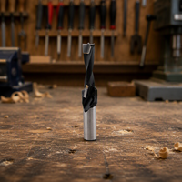 Foret à étagères en carbure de tungstène KWS CNC pour le bois - Taille 15-60 mm, finition E-coated, certifié CE