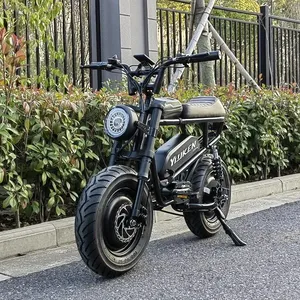 Nieuwkomers Best Verkopende Super Ebike 73 Fat Tire Ebike 48V 1000W Met Puyuan Ebike Motor