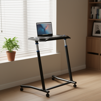 Support de vélo pliable pour cycliste avec roulettes, commande par bouton, cadre métallique verrouillable pour le fitness cycliste