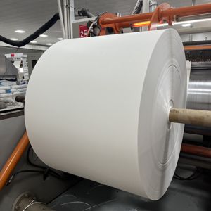 Papier Cupstock, papier enduit de PE en rouleau pour la fabrication de gobelets en papier - Product Image 1