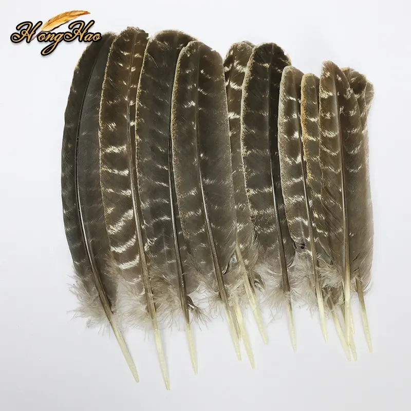 प्राकृतिक 27-32 सेमी जंगली टर्की क्विल पंख पंख रॉ फ्लाई बांधना कार्निवल पोशाक टोपी मिलनरी शिल्प सजावटी सहायक उपकरण