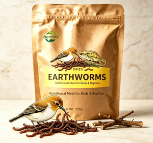 ODM OEM Etiqueta Privada, Gusanos Secos para Mascotas, Alimento Nutritivo, Gusanos Secos para Aves y Reptiles - Product Image 4