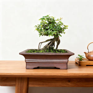 Pots à bonsaï rectangulaires en céramique non émaillée Yixing, pour plantes d'intérieur/extérieur, aménagement paysager, écologiques, durables, jardinières - Product Image 2