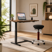 Bureau debout réglable en hauteur avec tabouret ergonomique à ressort oscillant, ensemble poste de travail pour bureau à domicile