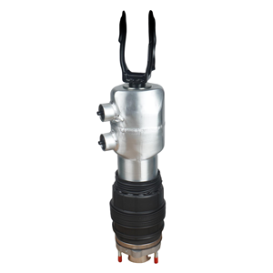 Amortiguadores de Suspensión Neumática Delanteros Derechos 971616038D 971616038L 971616038F 971616038G Compatibles con Porsche 971-1 - Product Image 1