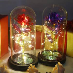 Rosa Galáctica Popular 2025 con Cubierta de Cristal y Lámina Dorada, con Luces, Adornos de Mesa, Regalos, Venta al por Mayor de Fábrica - Product Image 2