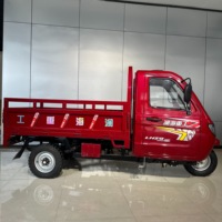 Tricycle de fret WangHu à trois roues avec cabine, capacité de charge de 400 kg, moteur à essence 250cc, carrosserie ouverte