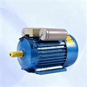 มอเตอร์ AC รุ่น YL-71L-0.75KW-2 ขนาดเล็ก ความเร็วสูง เฟสเดียว สำหรับเครื่องจักรต่างๆ - Product Image 1