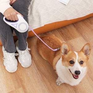 Laisse pour <span class=keywords><strong>chien</strong></span> en plastique et nylon avec rubans lumineux LED, accessoire de sécurité ultime pour les laisses rétractables - Product Image 3