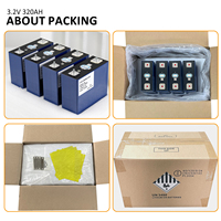 Batteries au lithium LiFePO4 REPT 320Ah 314Ah 345Ah 320Ah 340Ah 8000 cycles 3.2V, cellules REPT 280Ah 340Ah 345Ah, stock UE Pologne
