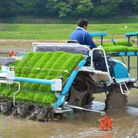 Transplanteuse de riziculture professionnelle à essence à 4 rangs, autoportée, avec moteur et profondeur réglable
